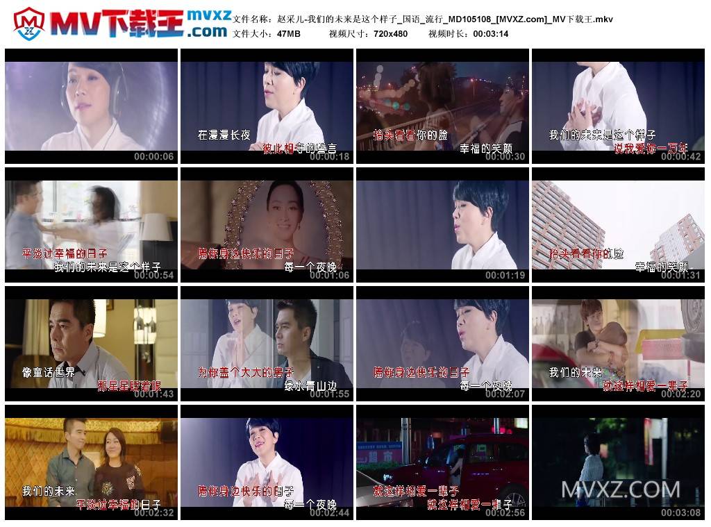 赵采儿-我们的未来是这个样子_国语_流行_MD105108